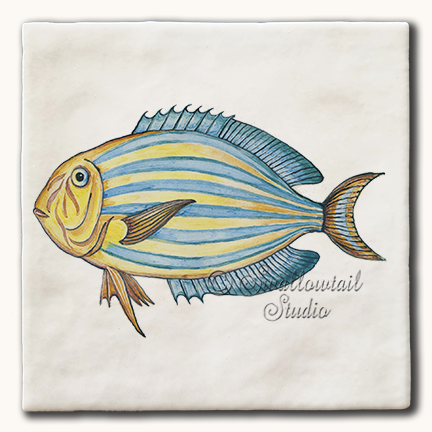 Surgeon Fish Tile