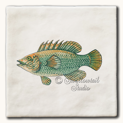 Cuckoo Wrasse Fish Tile
