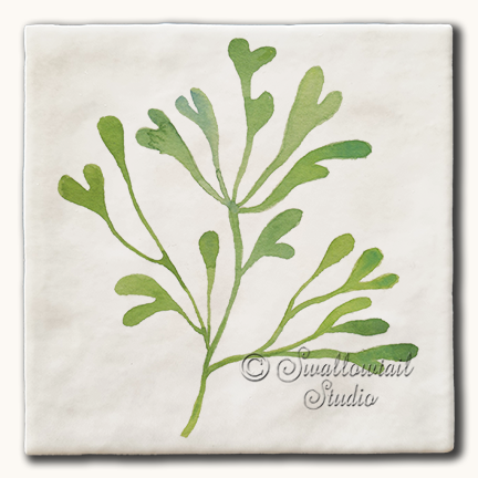 Green Branched Seaweed Tile