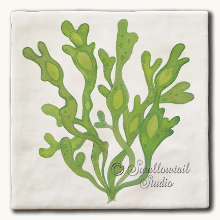 Green Wrack Seaweed Tile