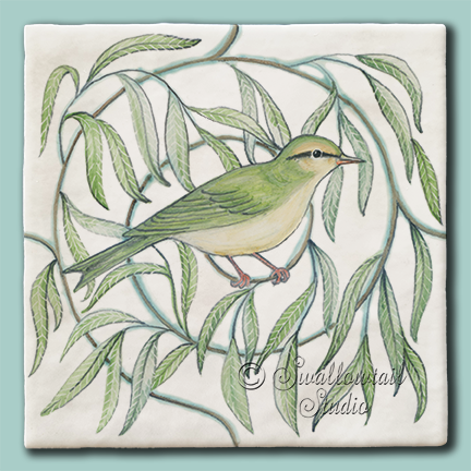 Willow and Warbler