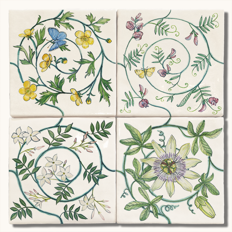 Tree of Life Spirals