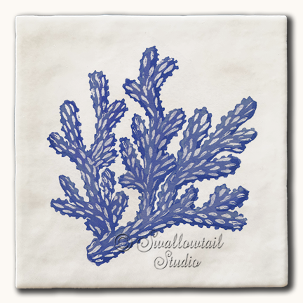 Spiny Coral Tile