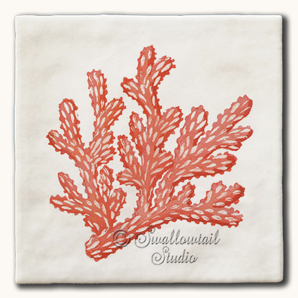 Spiny Coral Tile