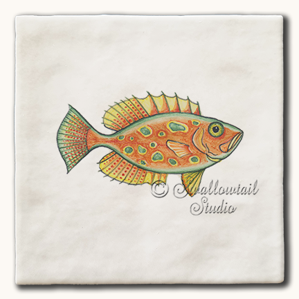 Orange Bigeye Fish Tile
