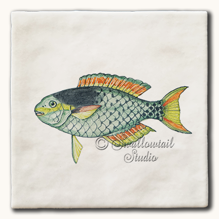 Parrot Fish Tile