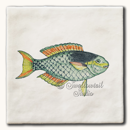 Parrot Fish Tile