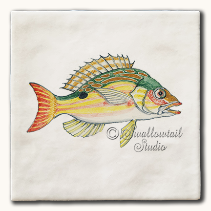 Lane Snapper Fish Tile