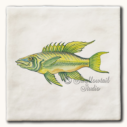 Sparus Fish Tile