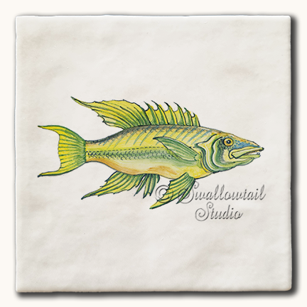 Sparus Fish Tile