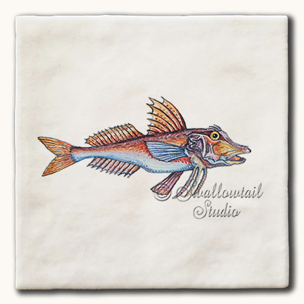 Gurnard Fish Tile