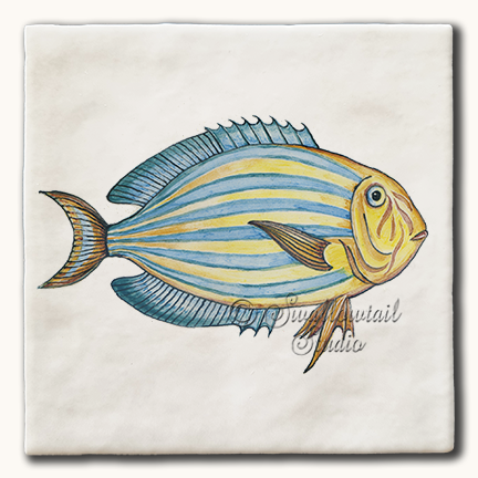 Surgeon Fish Tile