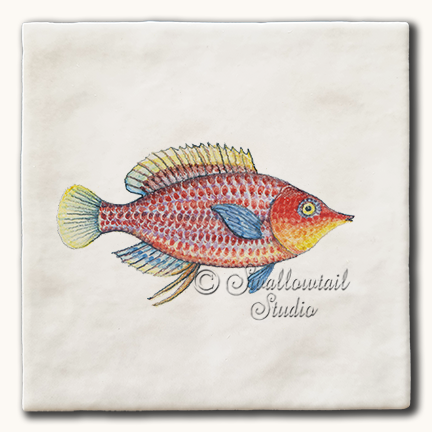 Six Line Wrasse Fish Tile