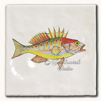 Comber Fish Tile