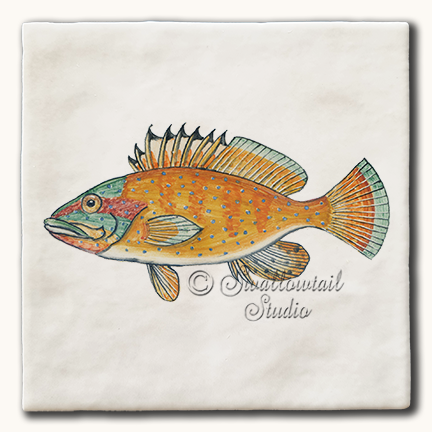 Grouper Fish Tile