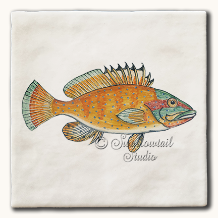 Grouper Fish Tile