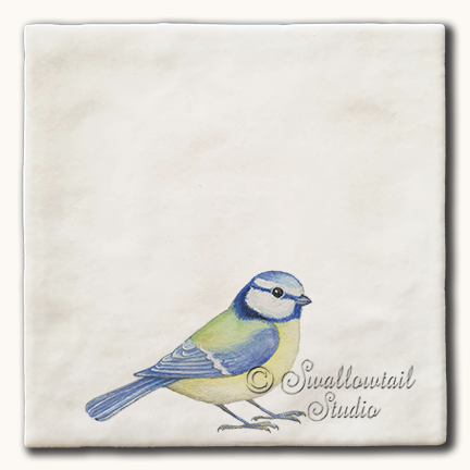 Blue Tit