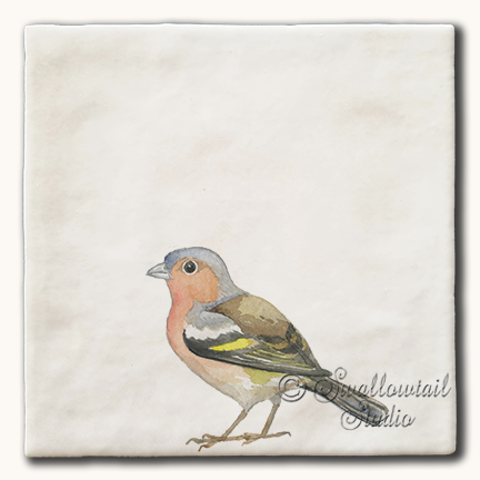 Chaffinch