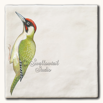 Green Woodpecker
