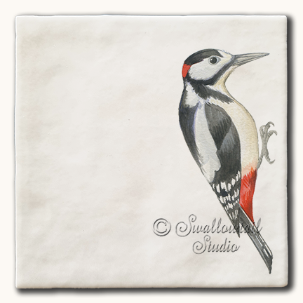 Great Spotted Woodpecker