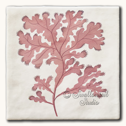 Red Leafy Seaweed Tile
