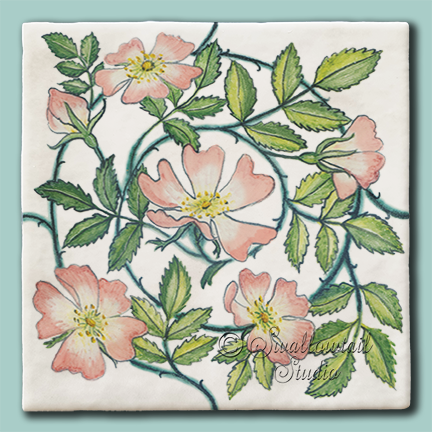 Wild Rose