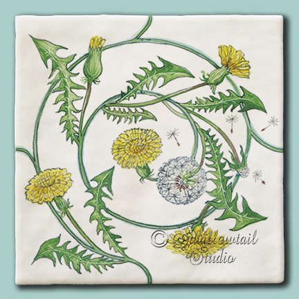 Dandelion